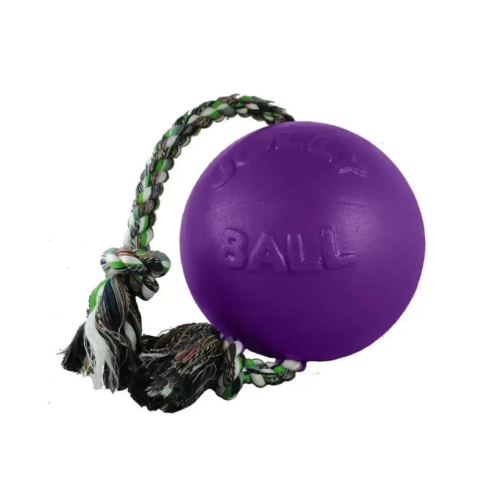 Purple rubber dog toy ball with braided green white and black rope handle from jolly pets romp-n-roll purple