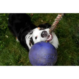 Purple rubber dog toy ball with rope handle by jolly pets romp-n-roll perfect for fetch and tug play