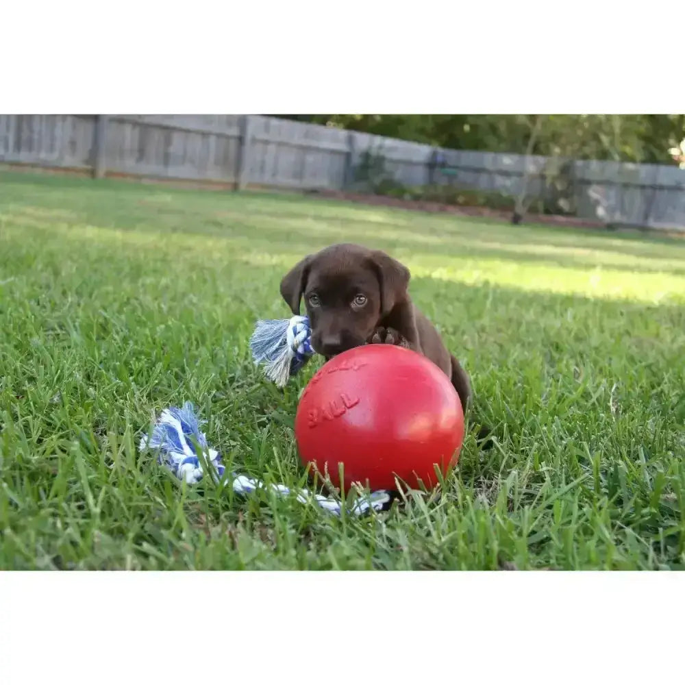 Red rubber dog toy with blue and white rope tassels for chewing and tugging from jolly pets romp-n-roll red