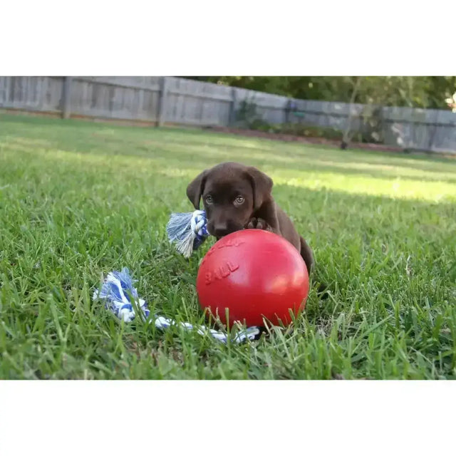 Red rubber dog toy with blue and white rope tassels for chewing and tugging from jolly pets romp-n-roll red