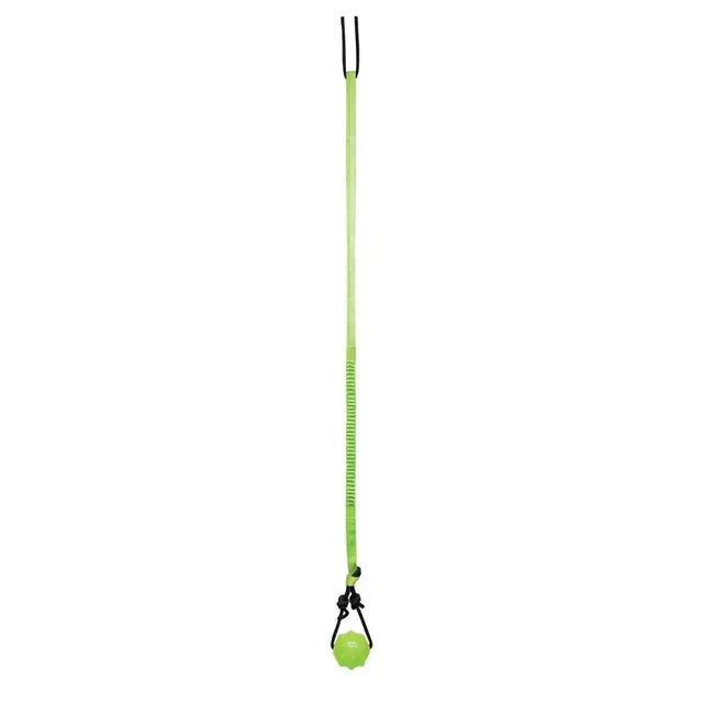 Bright lime green jolly pets tree tugger with textured ball for solo play time and fun dog toy