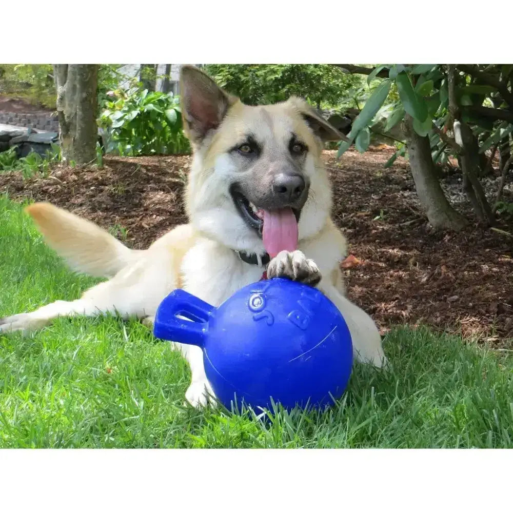 Blue plastic jolly pets tug-n-toss toy with handle and embossed design great interactive toy for pets