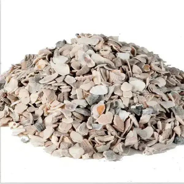 A pile of muted beige gray and subtle orange heygates poultry oyster shell grit fragments for poultry oyster shell use