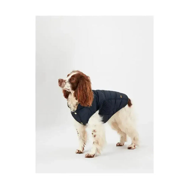 Navy blue quilted joules cherington dog coat showing back with small gold logo perfect dog apparel