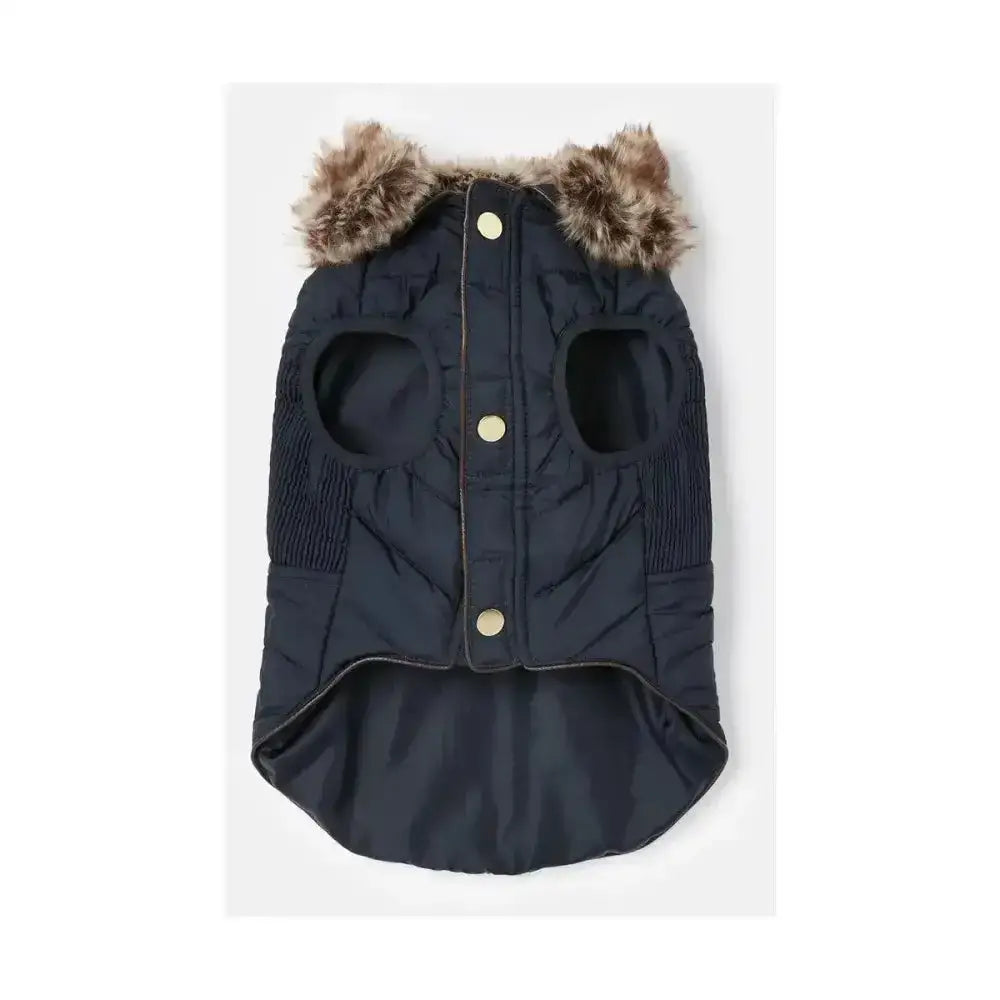 Navy blue quilted joules cherington dog coat with faux fur trim and gold-tone buttons for stylish dog apparel