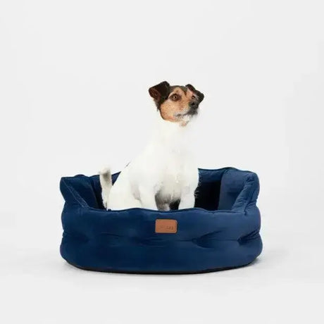 Navy blue plush chesterfield pet bed with brown leather patch perfect for sleeping dogs lie from joules