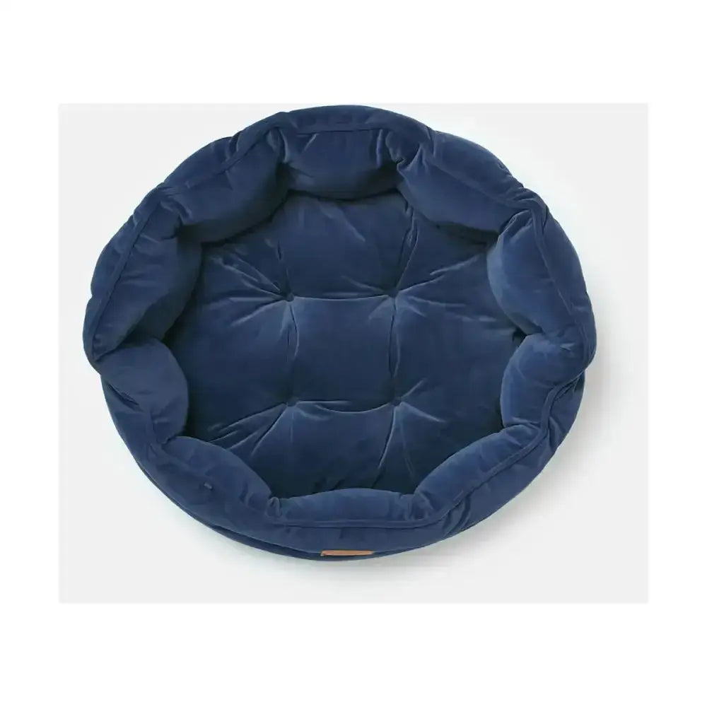 Deep navy blue plush joules chesterfield pet bed with soft velvety texture and tufted cushioning for sleeping dogs lie