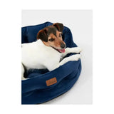 Navy blue velvet joules chesterfield pet bed with tan leather brand tag perfect for sleeping dogs lie
