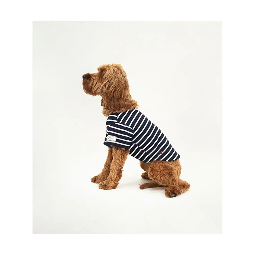 Navy and white striped joules harbour dog coat with small embroidered logo on chest perfect as a favourite joules harbour top