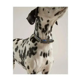 Joules Leather Dog Collar Navy Small Small Pet