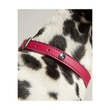 Joules Leather Dog Collar Pink Small Dog Collar