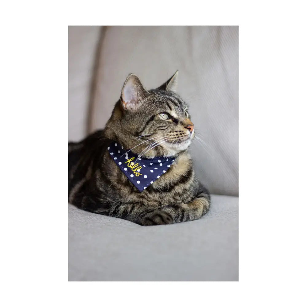 Navy blue joules neckerchief with gold hello embroidery perfect for bee print dog neckerchief style fans