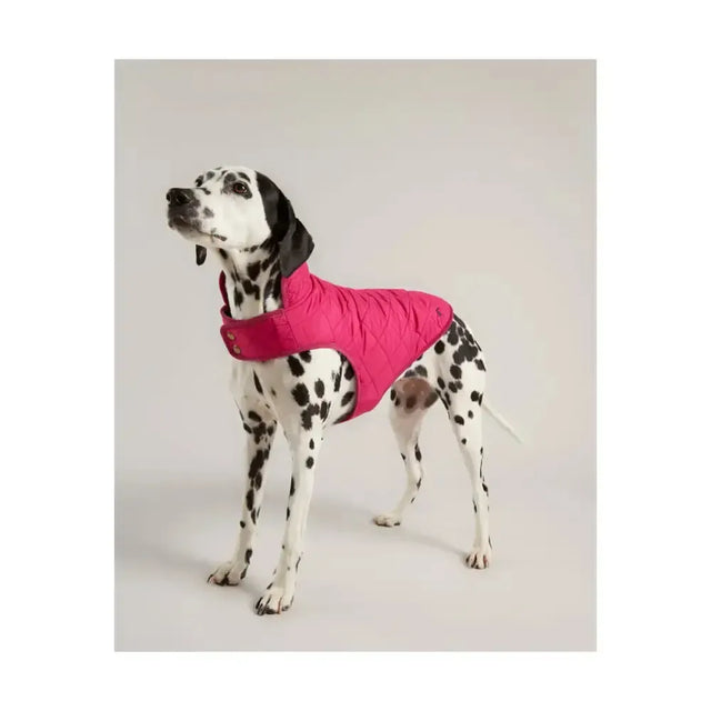 Joules Quilted Dog Coat Antique Gold Small 35Cm Dog Coat