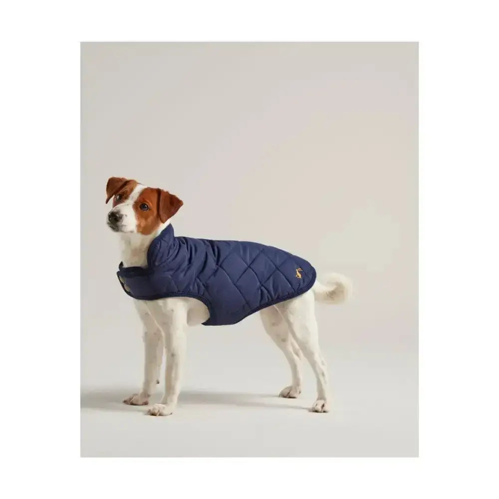 Navy blue joules quilted dog coat with diamond quilted padded design and small embroidered logo on the back