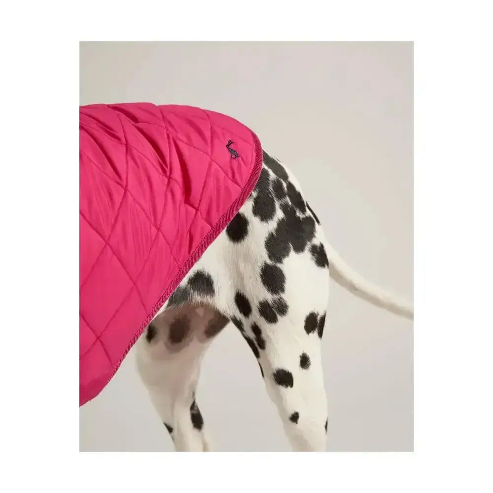 Bright pink joules quilted dog coat with diamond quilted padded design and small embroidered logo on the shoulder
