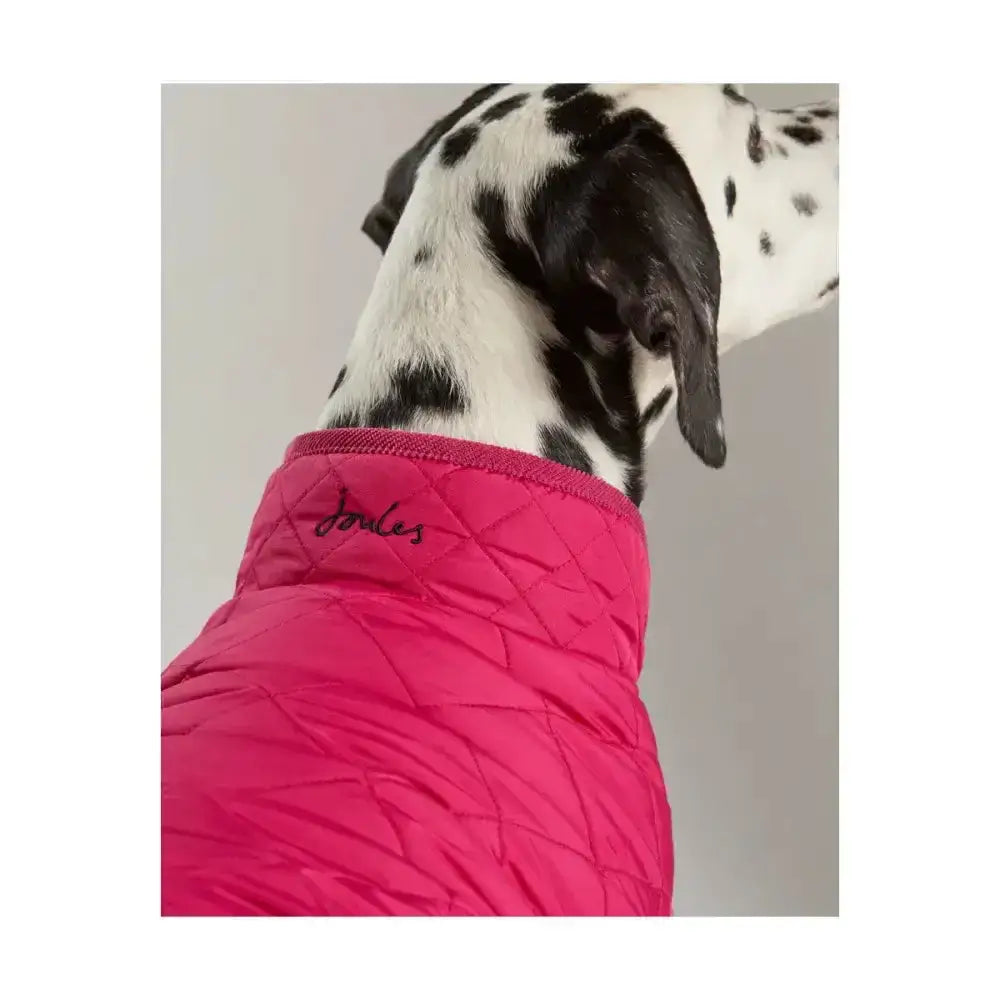 Bright pink joules quilted dog coat with diamond quilted padded design and subtle black embroidered logo on back