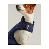 Navy blue joules quilted dog vest with diamond quilted padded design and gold-tone buttons for small dogs