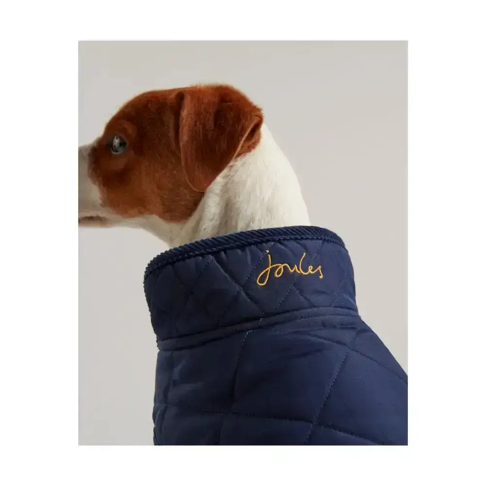 Navy blue joules quilted dog vest with diamond quilted padded design and gold embroidered logo for cozy wear