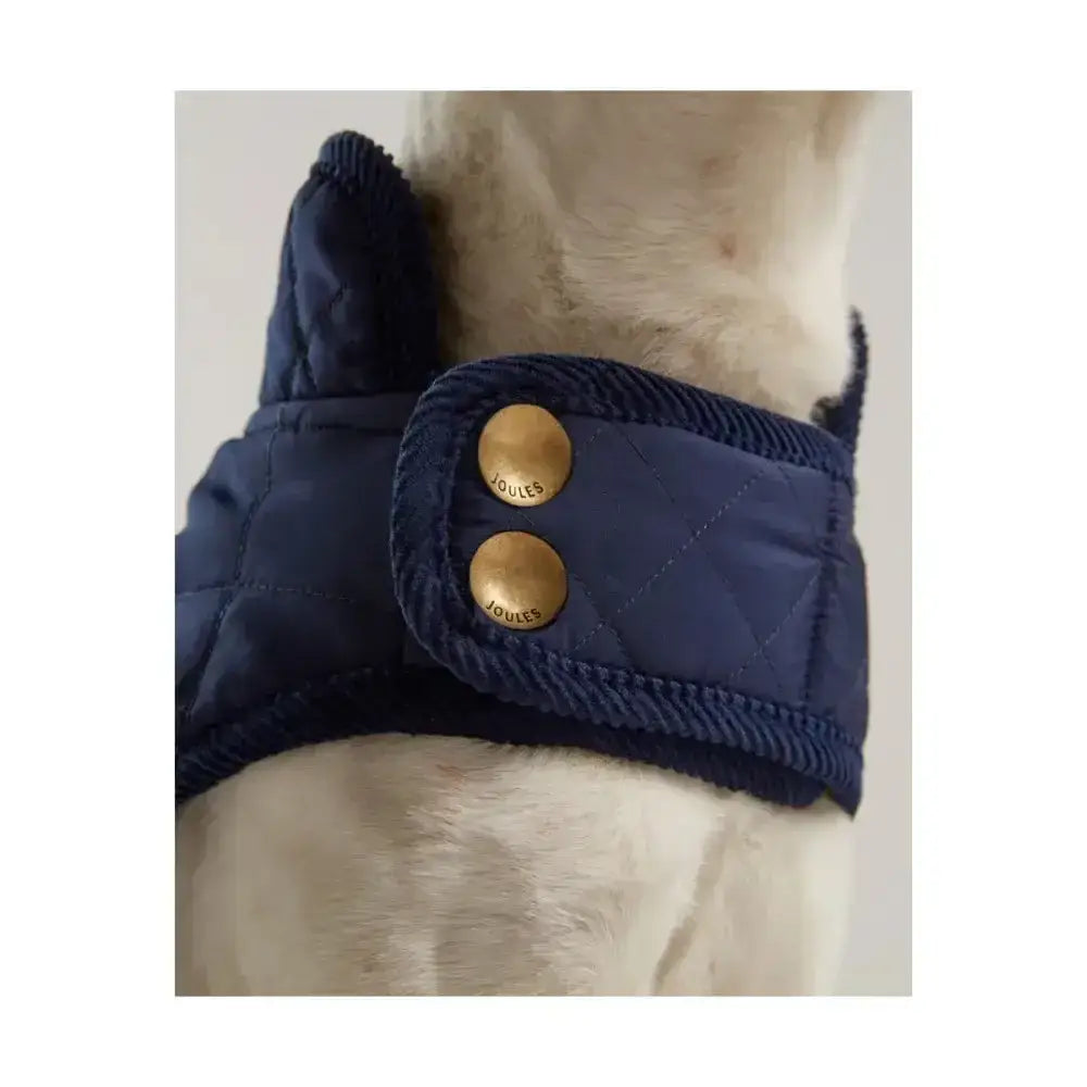 Navy blue joules quilted dog coat with diamond quilted padded design and brass buttons showing the back side