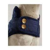 Navy blue joules quilted dog coat with diamond quilted padded design and brass buttons showing the back side