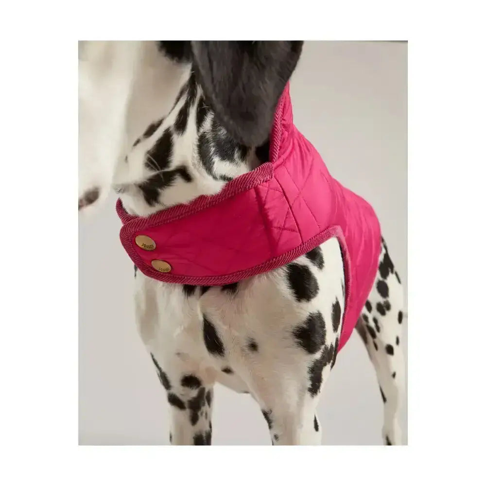 Vibrant pink joules quilted dog coat with diamond quilted padded design and gold-tone buttons with matching collar band