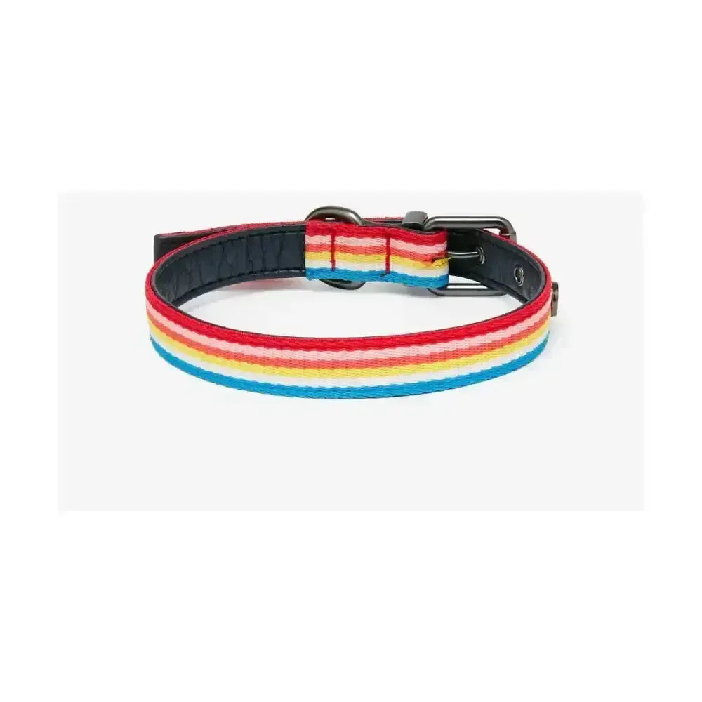Joules Rainbow Stripe Dog Collar Small Dog Collar