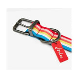 Joules rainbow stripe nylon dog collar with rainbow stripes matte black buckle and red joules tag for pets