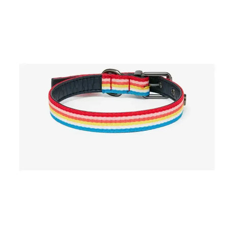Joules rainbow stripe nylon dog collar with rainbow stripes black leather interior and metal buckle for pets