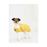 Yellow joules raincoat dog coat with brown leather accents lightweight waterproof dog apparel with logo on side