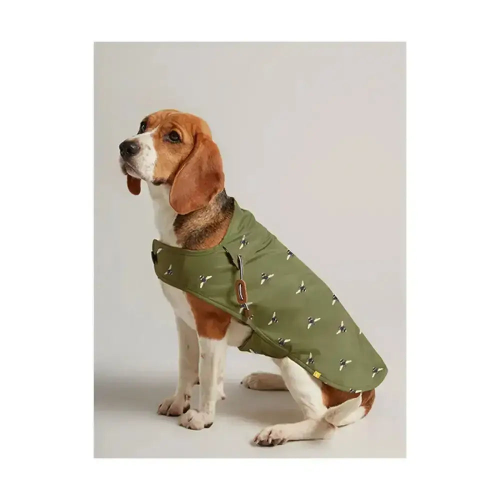 Olive green bee-patterned lightweight dog coat from joules raincoat perfect dog apparel for rainy days