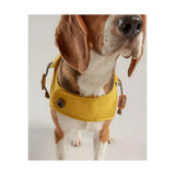 Joules Water Resistant Dog Coat Mustard Small 35Cm Dog Coat