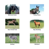 Bay standing horse with dark mane on a grassy field featured on kevin milner countryside unique greeting card