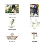 Black puppy labrador with red collar sitting on white surface on a unique kevin milner countryside greeting card