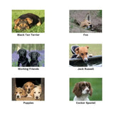 Black tan terror dog with sleek coat lying on grass on a unique greeting card from kevin milner countryside cards