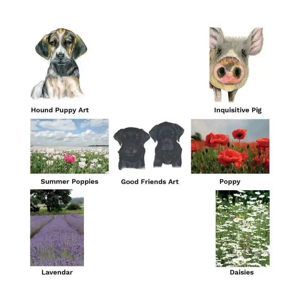 Six unique artistic illustrations in kevin milner countryside cards perfect as unique greeting cards