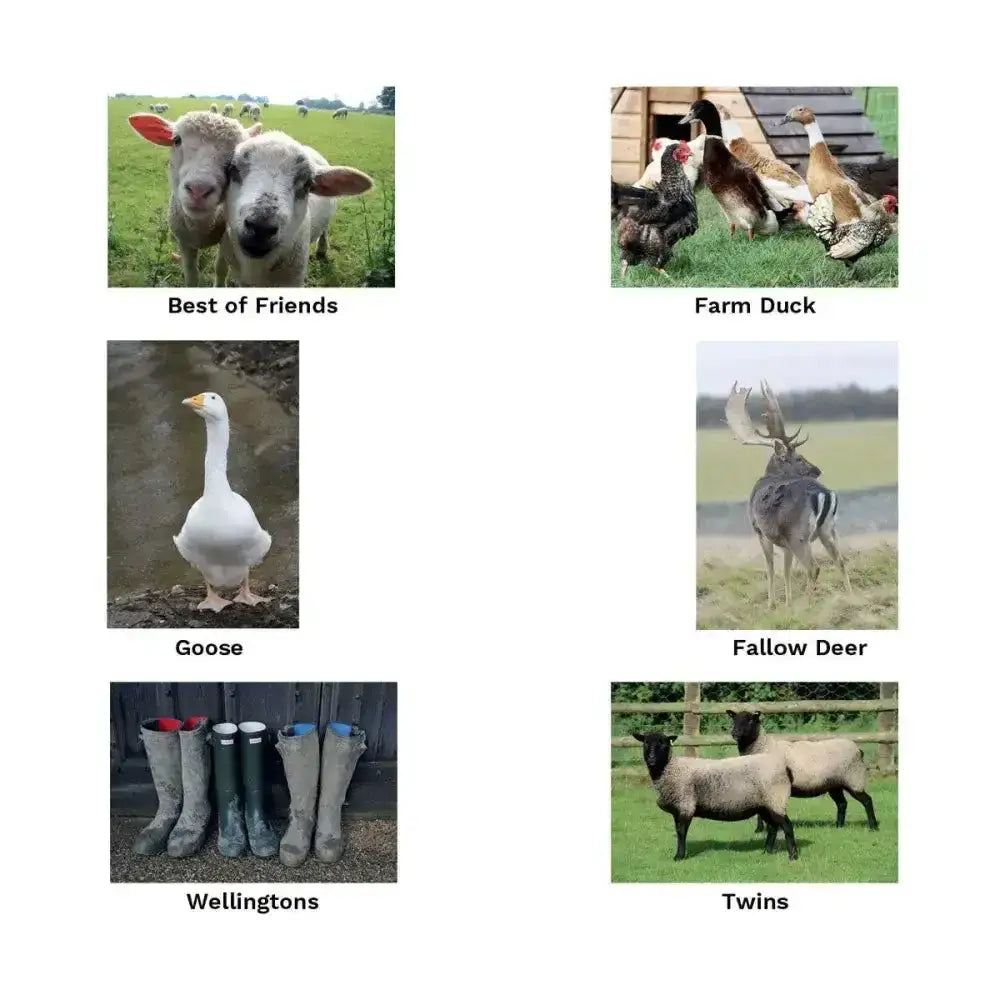 Gray and black wellington boots with red white and blue tops featured in kevin milner countryside unique greeting card