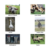 Gray and black wellington boots with red white and blue tops featured in kevin milner countryside unique greeting card