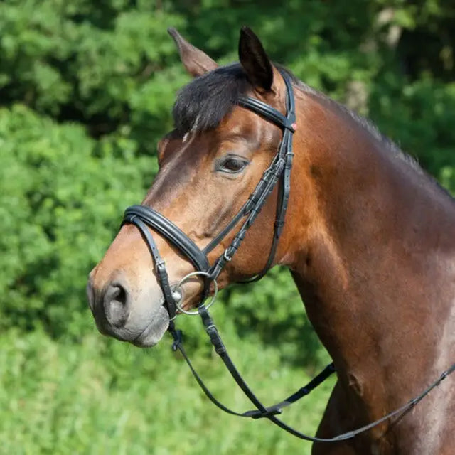 A sleek black leather kieffer ergonomic line snaffle bridle with soft padded crownpiece and silver hardware