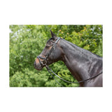 Kieffer Ultrasoft Tara Snaffle Bridle Black Cob Snaffle Bridle Barnstaple Equestrian Supplies