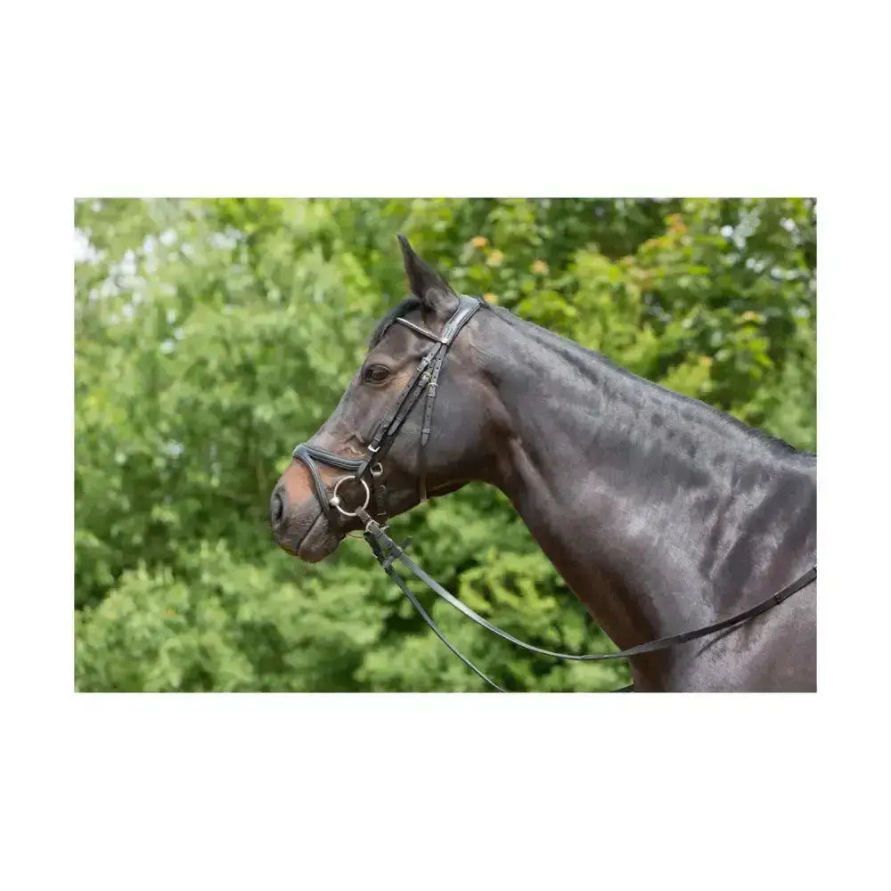 A sleek black horse wearing a kieffer ultrasoft tara snaffle bridle with dark leather and silver hardware