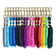 A vibrant rainbow braided rope keychain with metallic hardware on an elite 6ft poly lead robust lead rope