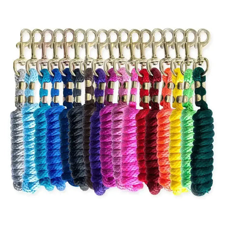 A vibrant braided rope keychain in rainbow colors with metallic hardware on the KM elite 6ft poly lead rope