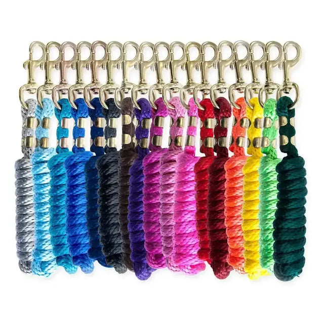 A vibrant braided rope keychain in rainbow colors with metallic hardware on the KM elite 6ft poly lead rope