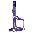 Purple km elite luxury padded headcollar with black padded headpiece triple weave lined nylon solid brass throat clip