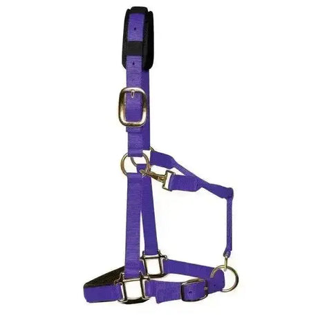 Purple km elite luxury padded headcollar with black padded headpiece triple weave lined nylon solid brass throat clip