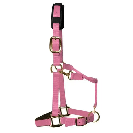 KM Elite Padded Headcollar Baby Pink Pink Small (Large Pony) Headcollars