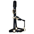 Km elite padded headcollar black made of black nylon with gold-toned buckles and rings for a luxurious headcollar look