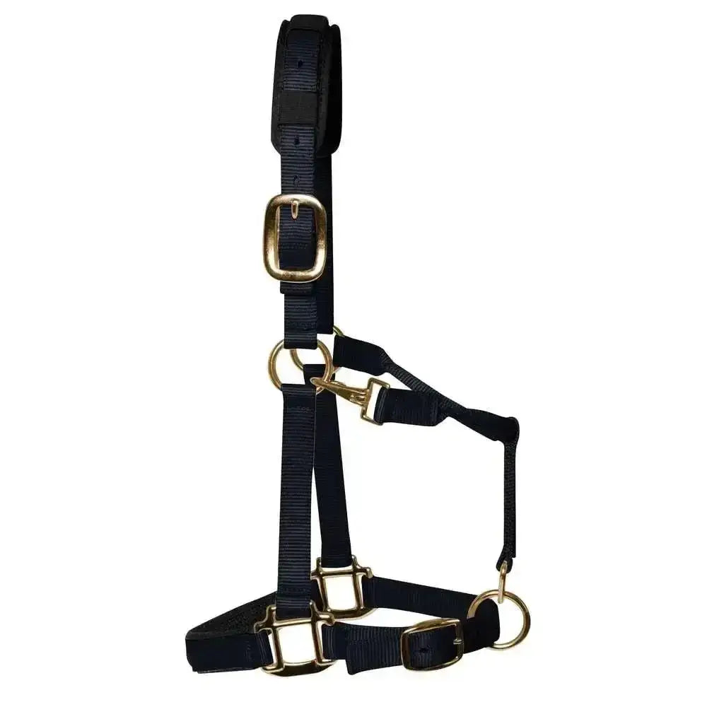 Km elite padded headcollar black made of black nylon with gold-toned buckles and rings for a luxurious headcollar look