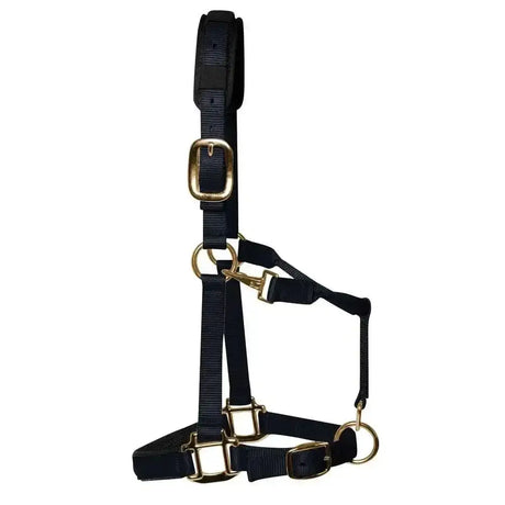 Km elite padded headcollar black made of black nylon with gold-toned buckles and rings for a luxurious headcollar look