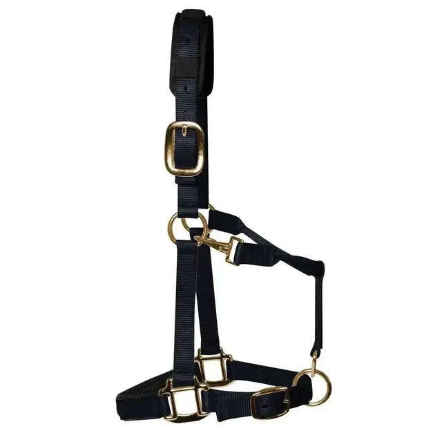 Km elite padded headcollar black made of black nylon with gold-toned buckles and rings for a luxurious headcollar look